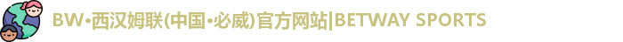 BW·西汉姆联(中国·必威)官方网站|BETWAY SPORTS